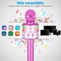 iWear M85 Karaoke Kids & Adult Fun Effect Microphone with Speake