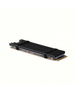 Axagon CLR-M2L3 arvuti jahutussüsteem M.2 NVMe SSD, SSD-draiv Kütteseade/radiaator Must 1 tk