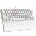 Rampage PLOWERK60 Blue Switch Biała