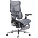 Sihoo Doro S300 ergonomic office chair with footrest, black Sihoo Doro S300 ergonomic office chair with footrest, black