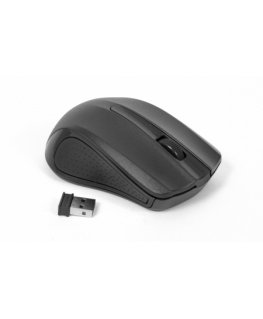 Omega OM-419 mouse Ambidextrous RF Wireless Optical 1000 DPI