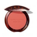 Pretty Matte Lipstick ( Lips tick ) 4.5 g