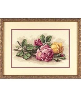 Groves Of Thame Rose Cuttings D13720