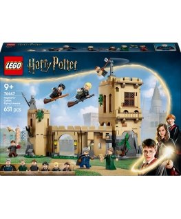 LEGO Harry Potter 76447 – Hogwarts Castle: Flying Lessons