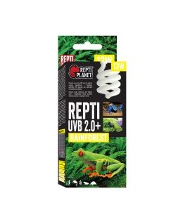 Terrarium decor : Repti Planet Artificial Cane 30cm