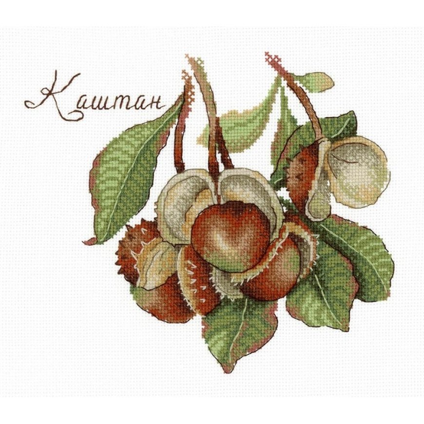 Beldizart Gifts of nature. Chestnut SNV-672