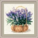 Uab Riolis French lavender 1404 Uab Riolis French lavender 1404