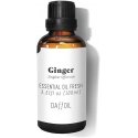 Daffoil ESSENTIAL OIL fresh ginger 100 ml Daffoil ESSENTIAL OIL fresh ginger 100 ml