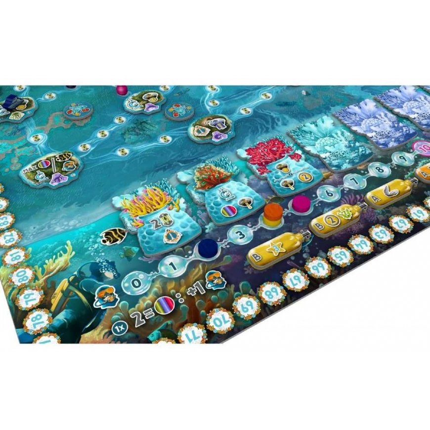 Board&Dice Reef Project – 5