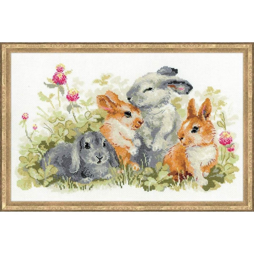 Uab Riolis Uab Riolis Funny rabbits