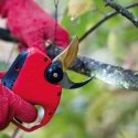 Cordless secateurs FELCO 834W Cordless secateurs FELCO 834W