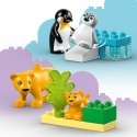 DUPLO Town 10442 – Luonnoneläinperheet: pingviinit ja leijonat DUPLO Town 10442 – Luonnoneläinperheet: pingviinit ja leijonat