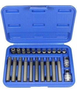Sukimo antgalių komplektas Condor Werkzeug C1011 3/8''+1/2'' Torx T10-T55 23 vnt.