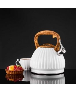 Induction kettle For curly hair 2.5 l white AMBITION