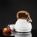 Induction kettle For curly hair 2.5 l white AMBITION