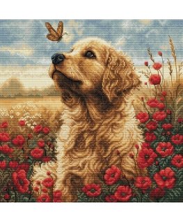 luca S Embroidery kit 25x25cm SBU5073