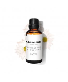 Daffoil Roman Chamomile Essential Oil 100ml