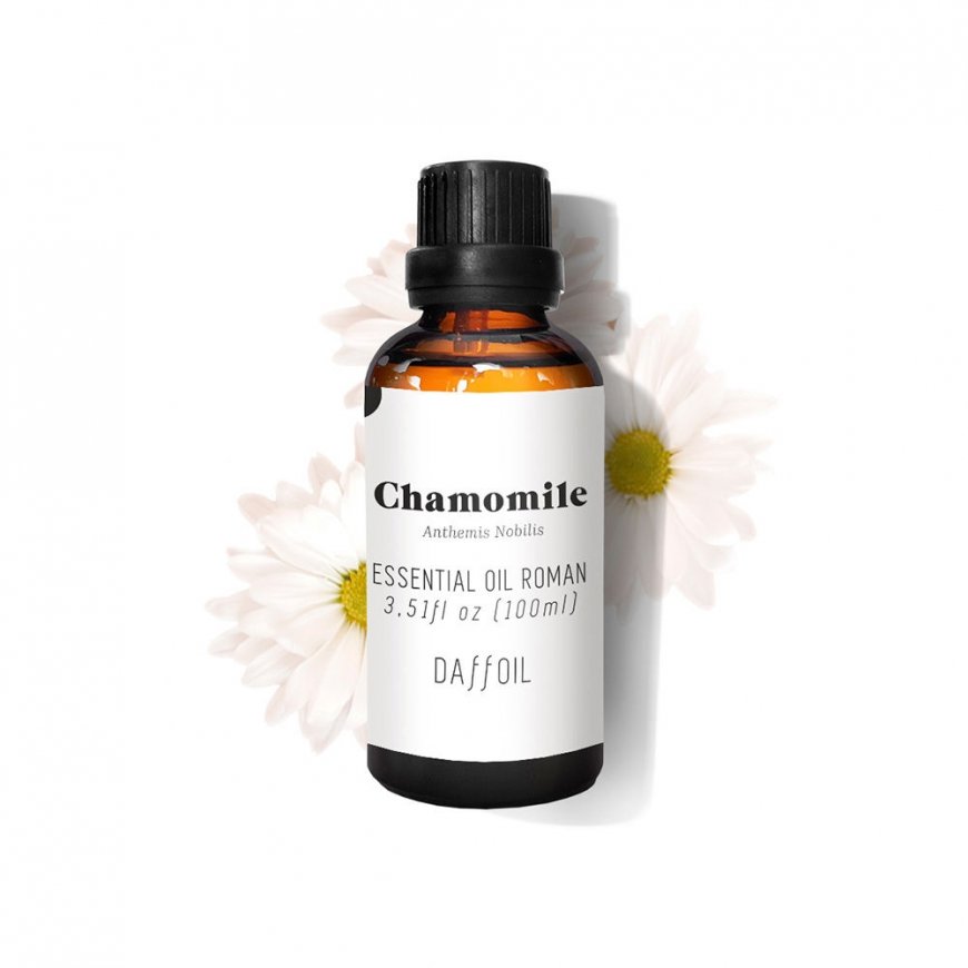 Daffoil Roman Chamomile Essential Oil 100ml