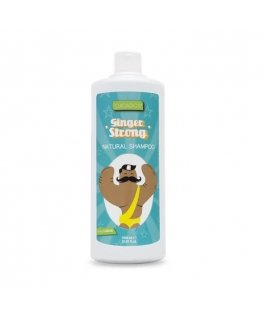 Valquer Ginger Ginger Strong Šampūnas 1000ml
