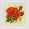 Uab Riolis Red rose SR1843