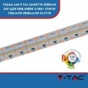 V-TAC SMD2110 LED riba 3500LED 24V IP20 5mb CRI90+ 21W/m 150Lm/W VT-2110 700 6400K 2000lm V-TAC SMD2110 LED riba 3500LED 24V IP20 5mb CRI90+ 21W/m 150Lm/W VT-2110 700 6400K 2000lm