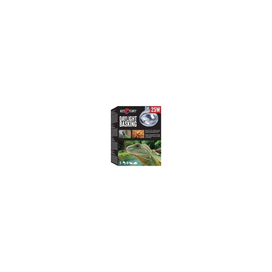 Terrarium bowl : Repti Planet Food dish 19,2x13,5x4cm – 2