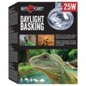 Terrarium bowl : Repti Planet Food dish 19,2x13,5x4cm Terrarium bowl : Repti Planet Food dish 19,2x13,5x4cm