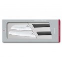 Victorinox 6.9093.22G virtuvės stalo įrankių / peilių rinkinys 2 vnt Peiliukų rinkinys Victorinox 6.9093.22G virtuvės stalo įrankių / peilių rinkinys 2 vnt Peiliukų rinkinys