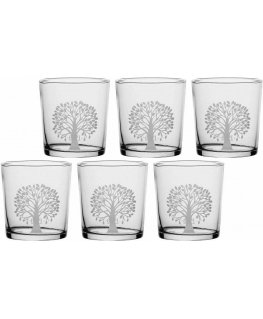 Set of 6 thick-bottomed Babila Tree glasses - transparent, 350 ml