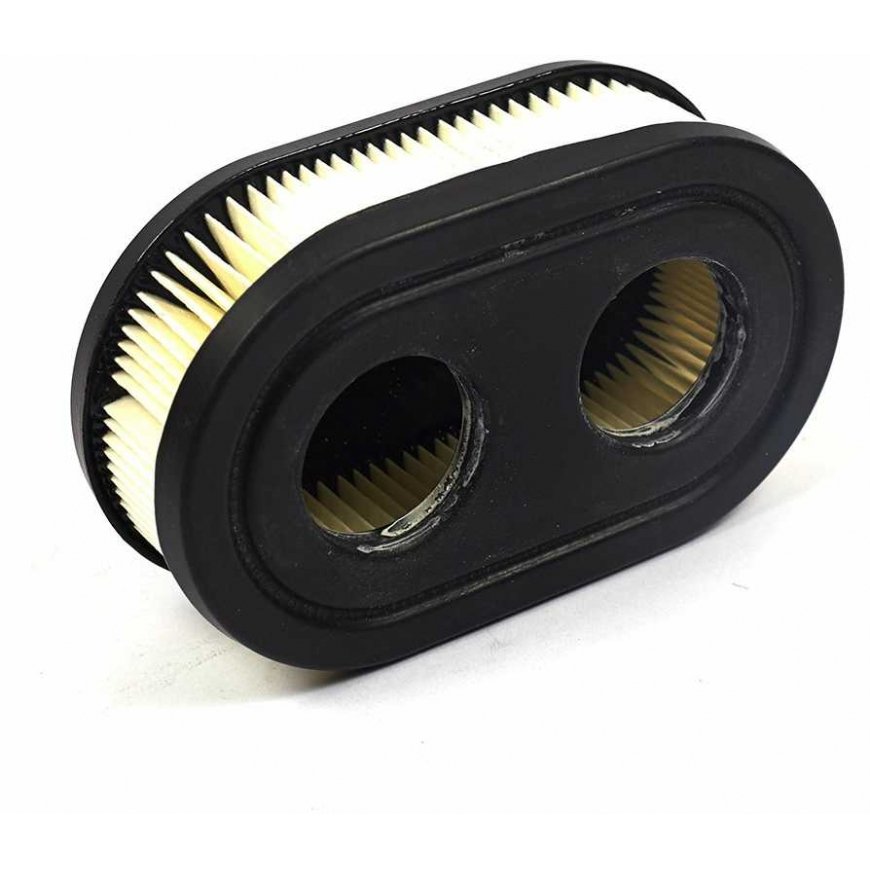 Briggs&Stratton Air filter Briggs&Stratton 593260 1