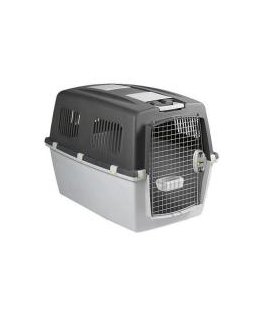 Transport cage Gulliver 1 with plastic door 48x32x31cm in white