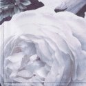 Eurofirany CHO/VELVET/7 30X40/X4 KPL FIOL+K Eurofirany CHO/VELVET/7 30X40/X4 KPL FIOL+K