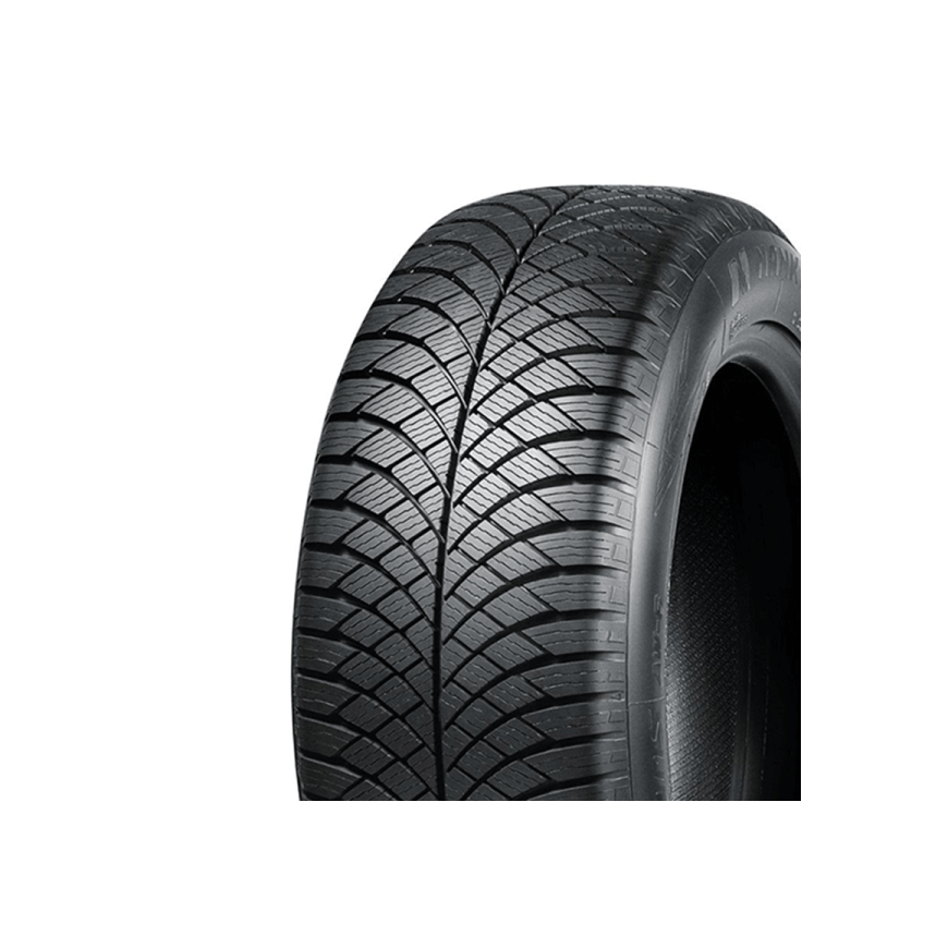 Nankang Tires AW-6 103 V XL