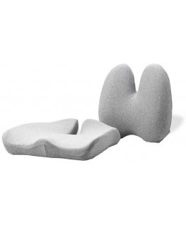 Powerton Lumbar support and seat set