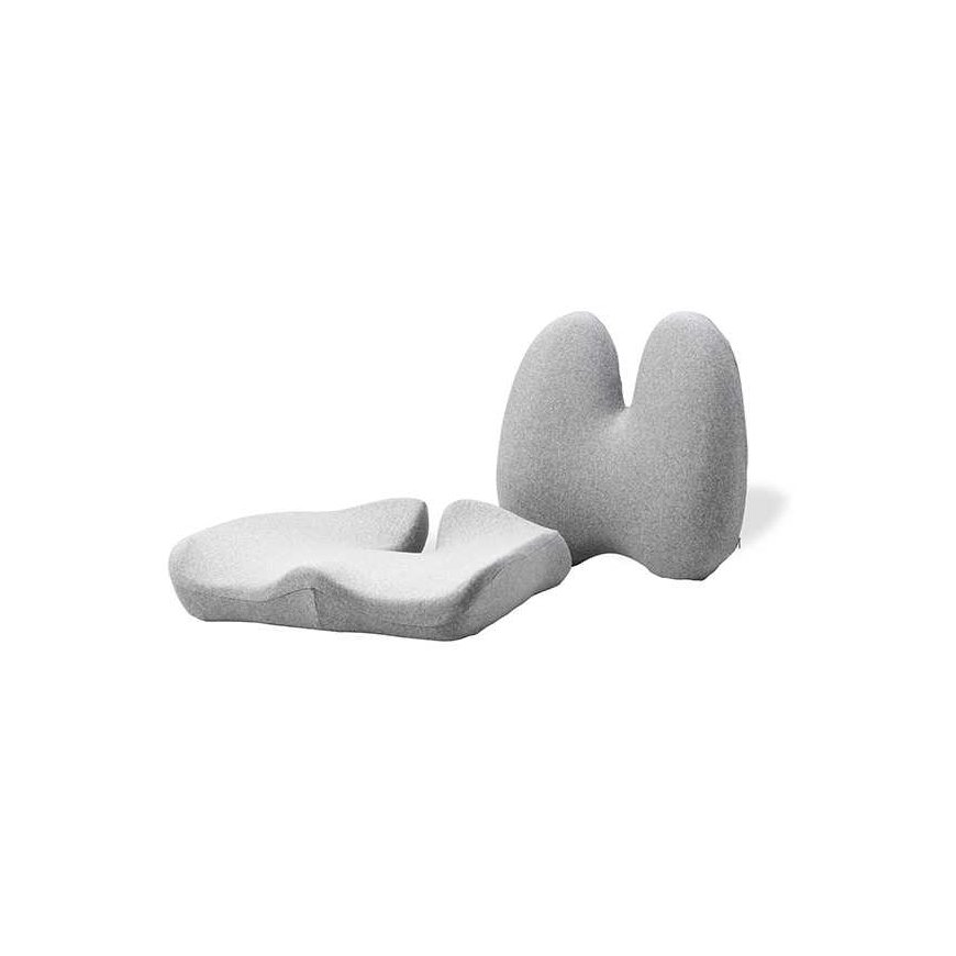Powerton Lumbar support and seat set