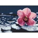 Beldizart Orchid Wanda 38*27 cm WD035 Beldizart Orchid Wanda 38*27 cm WD035