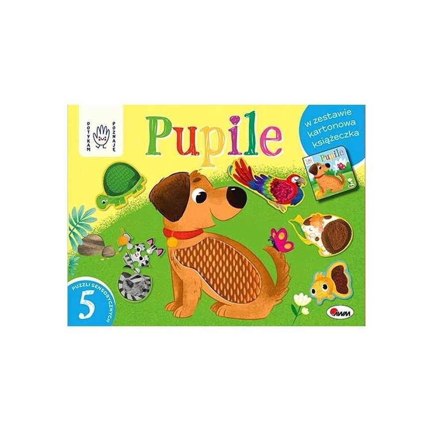 Morex Dotykam, poznaje - pupile box 12818