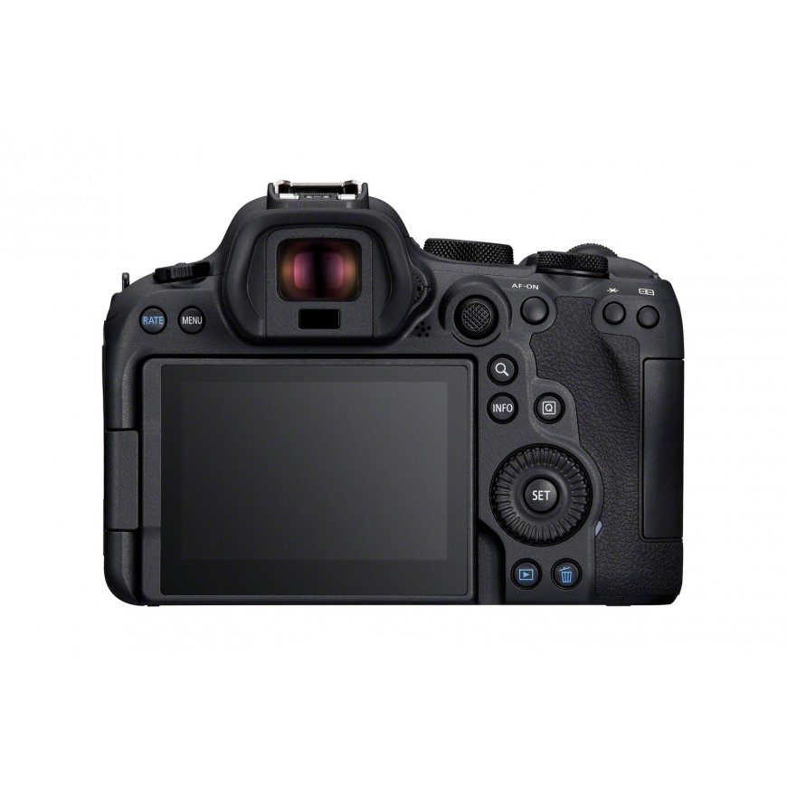 Canon EOS R6 Mark II + RF 24-105mm F4 L IS USM – 5