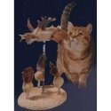 Cats Collection Jousilelu kissoille, höyhenet, jousilelut kissoille, 14x33 cm Cats Collection Jousilelu kissoille, höyhenet, jousilelut kissoille, 14x33 cm