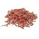 TRIXIE 31804 Šuo Užkandžiai Antis, Žuvis 80 g TRIXIE 31804 Šuo Užkandžiai Antis, Žuvis 80 g