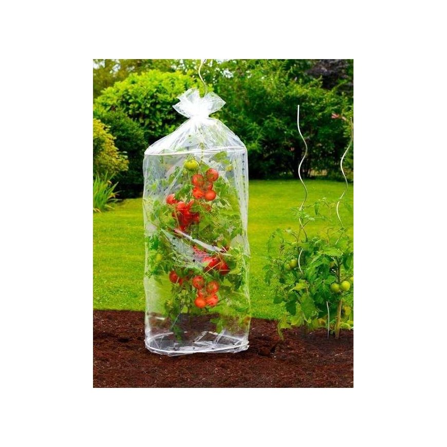 Maximex PIECES Protective film for tomatoes, 2 pcs. – 2