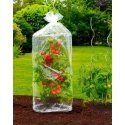 Maximex PIECES Protective film for tomatoes, 2 pcs.