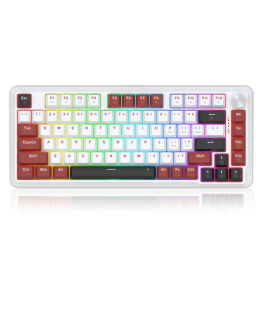Redragon K721WRB-RGB Stormhunter