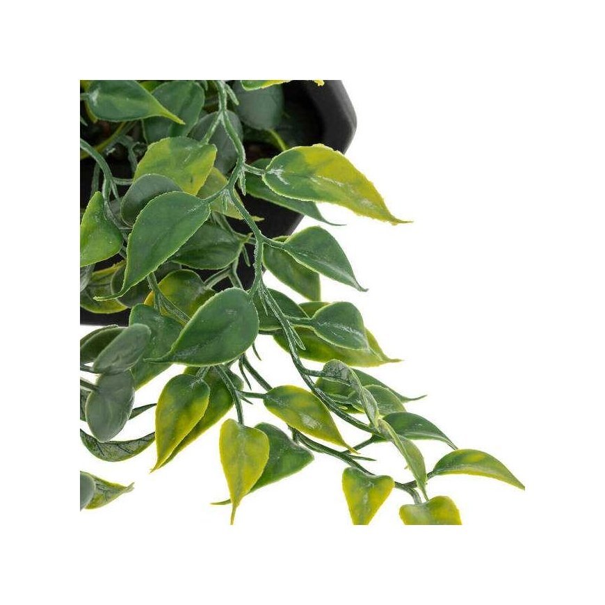 Atmosphera Dirbtinis kabantis augalas cementiniame vazone AYAME, 14 cm