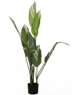Home Styling Collection Dirbtinis augalas dideliais lapais, 118 cm