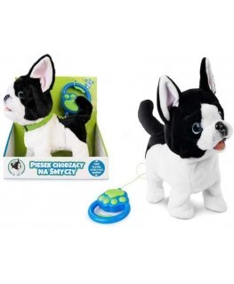 Close Interactive mascot dog walks on a leash