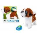Close Interactive mascot dog walks on a leash