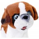 Close Interactive mascot dog walks on a leash