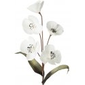 Eurofirany KW/FLORE/720/B B+CZAR Eurofirany KW/FLORE/720/B B+CZAR