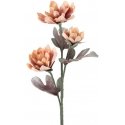 Eurofirany KW/FLORE/735/ŁOS ŁOS Eurofirany KW/FLORE/735/ŁOS ŁOS